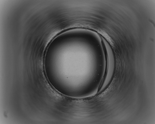 X0000091980896200709131410