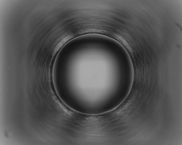 X0000091980898200709131410