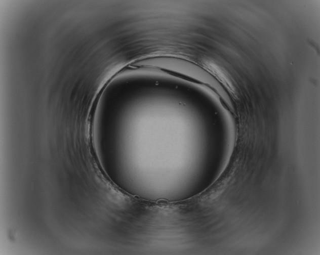 X0000091980900200709131410