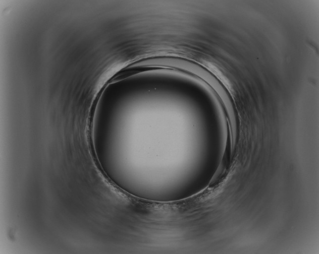 X0000091980901200709131410