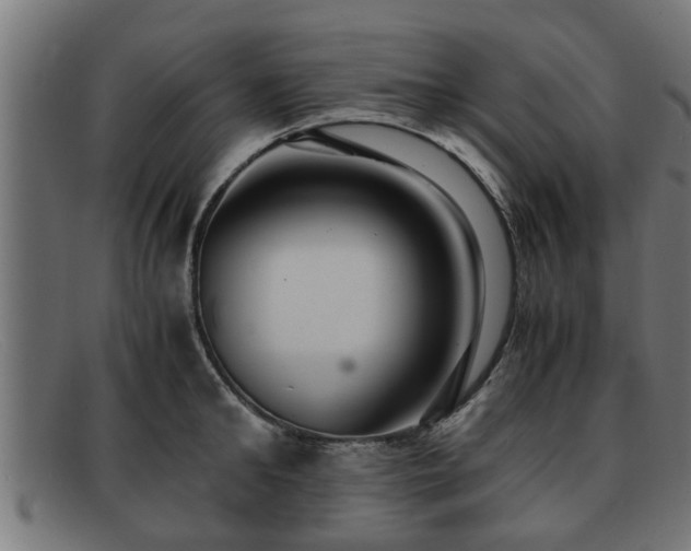 X0000091980902200709131409