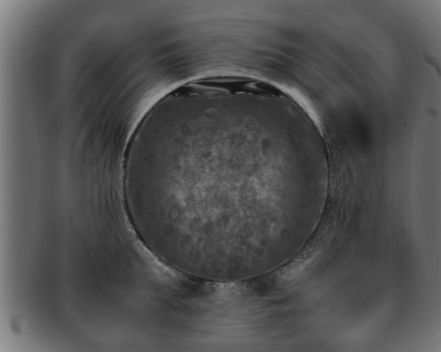 X0000091980903200709131409