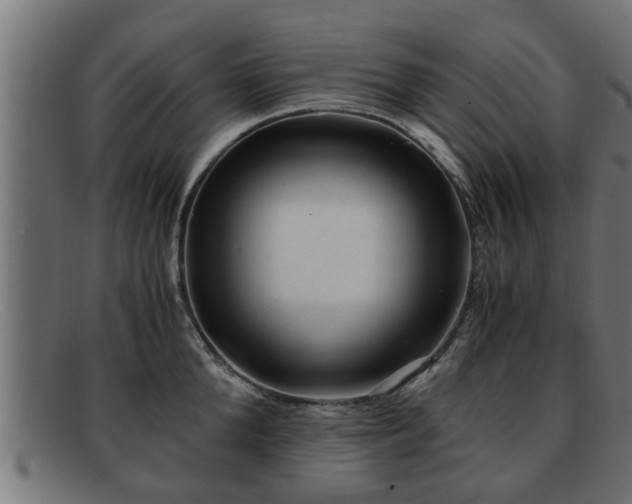 X0000091980904200709131409