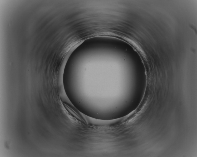 X0000091980905200709131409