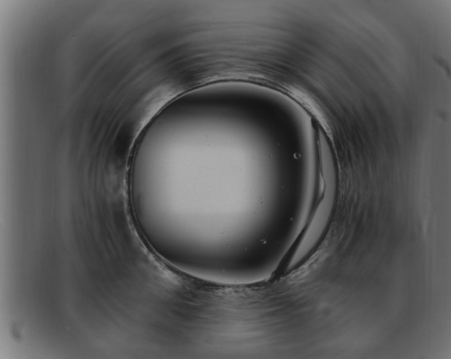 X0000091980906200709131409