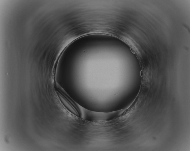 X0000091980908200709131409