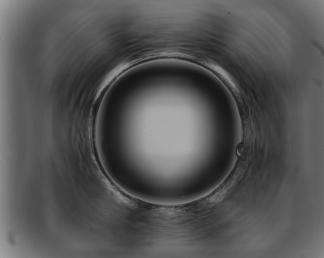 X0000091980910200709131409