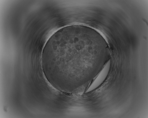 X0000091980911200709131409