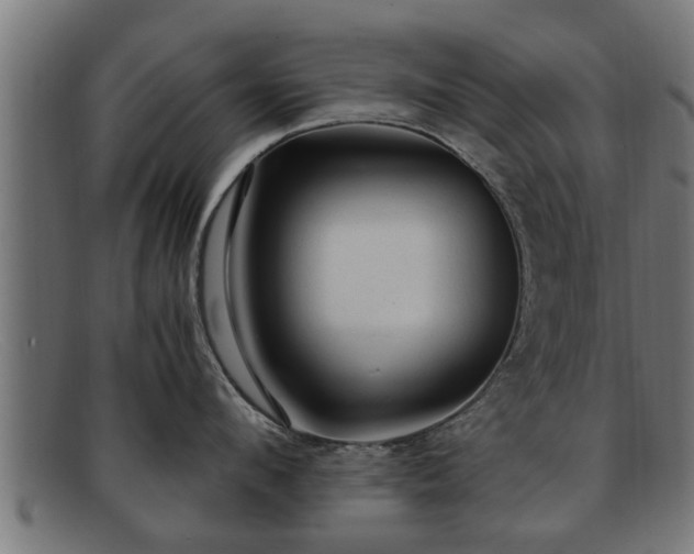 X0000091980912200709131409