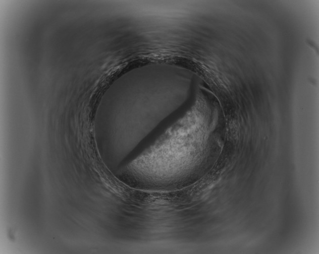 X0000091980913200709131409