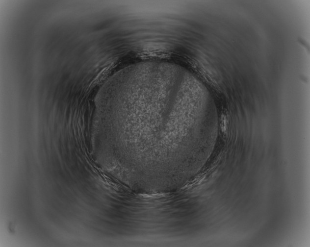 X0000091980915200709131409