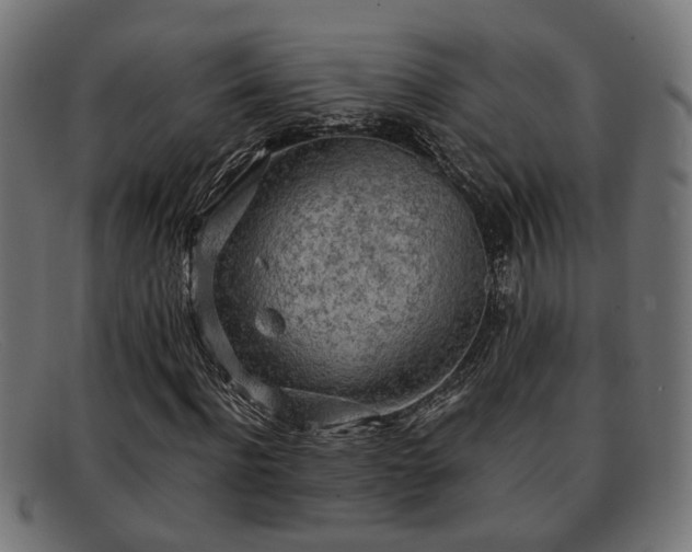 X0000091980916200709131409