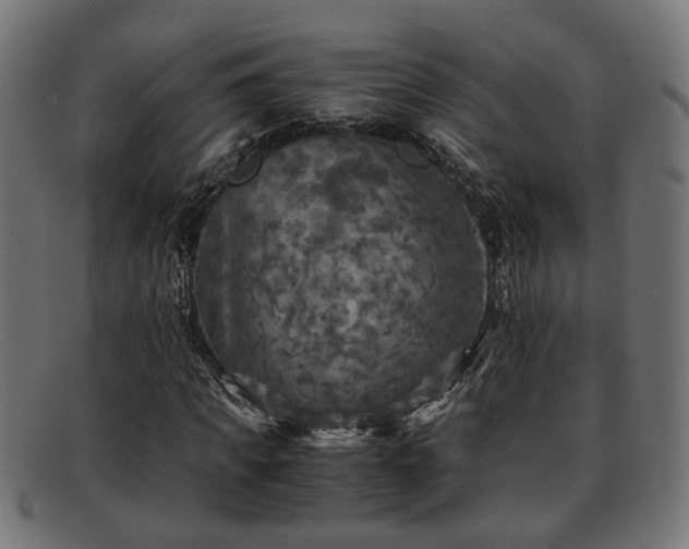 X0000091980917200709131409