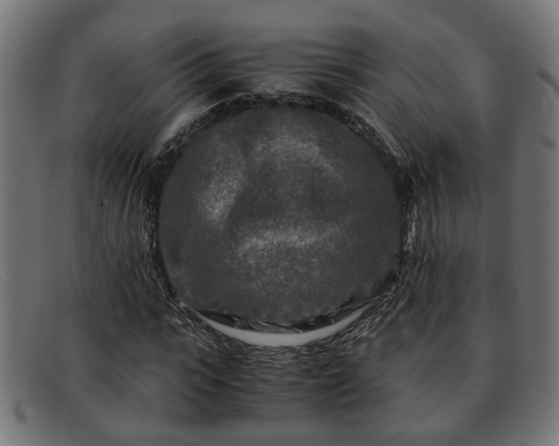 X0000091980919200709131409