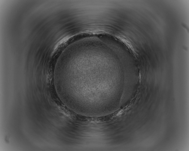 X0000091980920200709131409