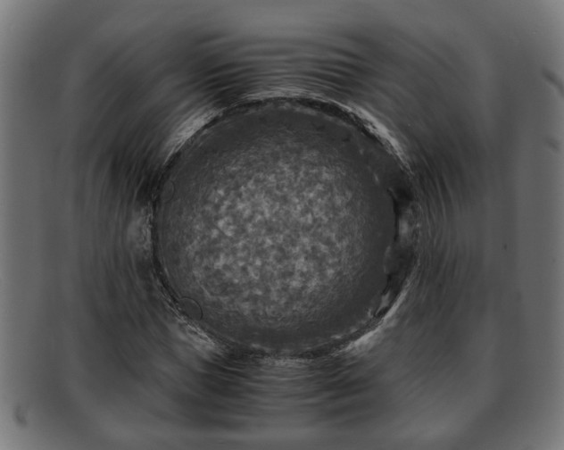 X0000091980921200709131409