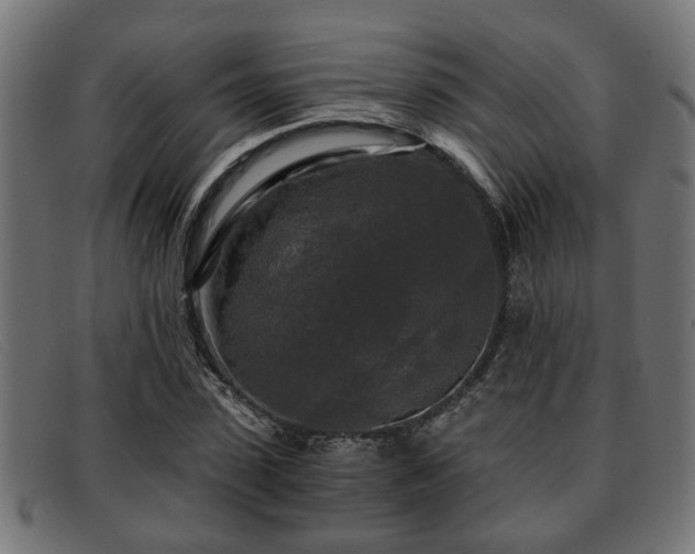 X0000091980923200709131409