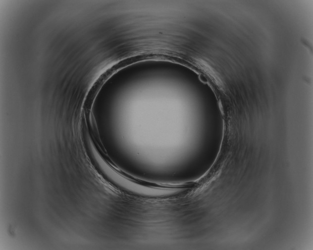 X0000091980924200709131409