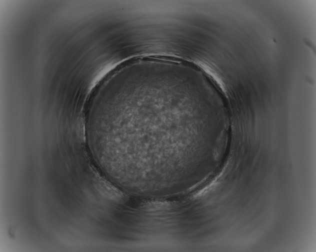 X0000091980925200709131409