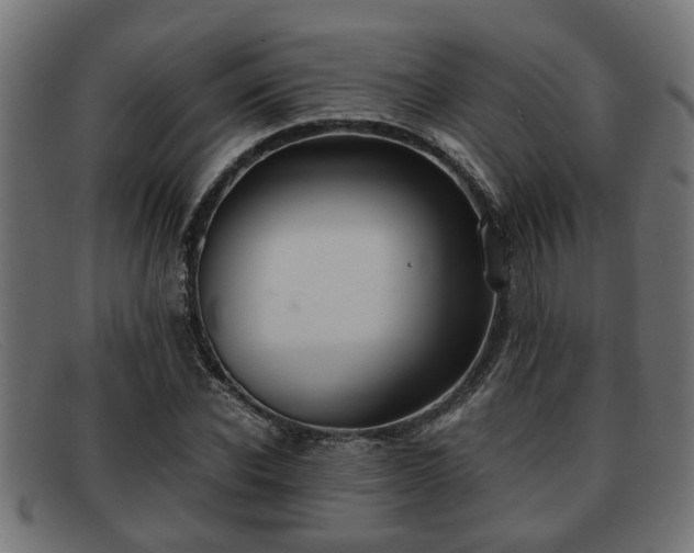 X0000091980926200709131409