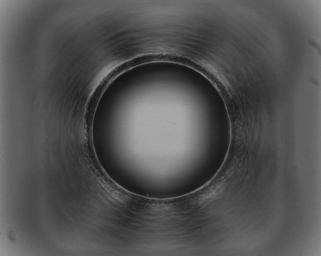 X0000091980927200709131409