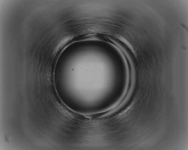 X0000091980930200709131409