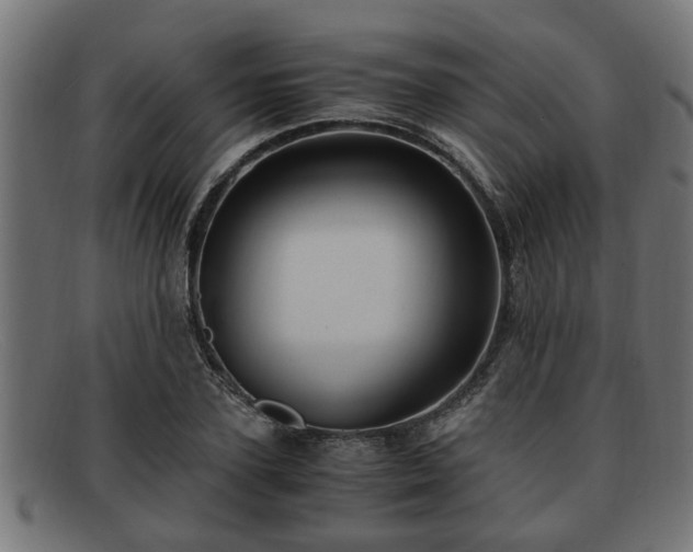 X0000091980931200709131409