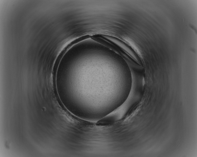 X0000091980932200709131409