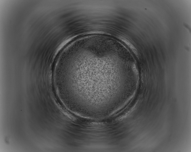 X0000091980933200709131409