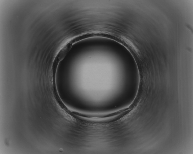 X0000091980934200709131409