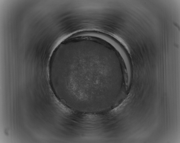 X0000091980935200709131409