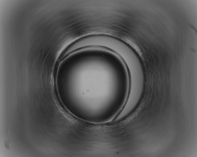 X0000091980936200709131409