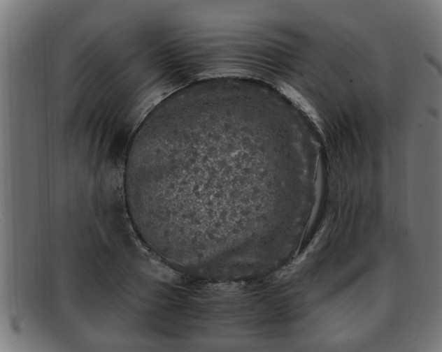 X0000091980937200709131409