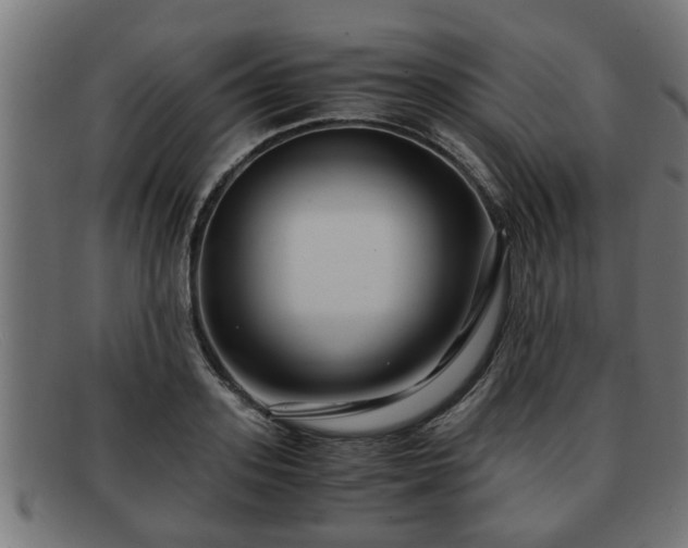 X0000091980939200709131409