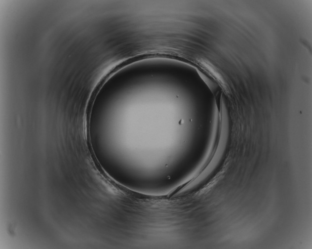 X0000091980940200709131409