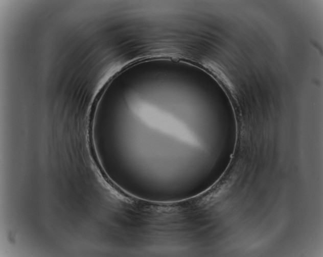 X0000091980941200709131409