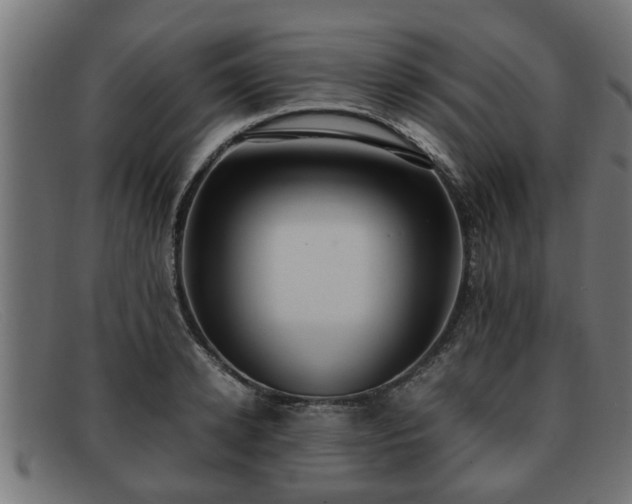 X0000091980942200709131409