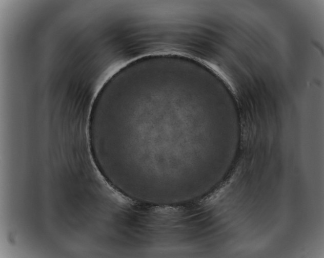 X0000091980943200709131409