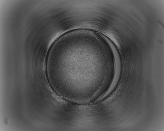 X0000091980944200709131409