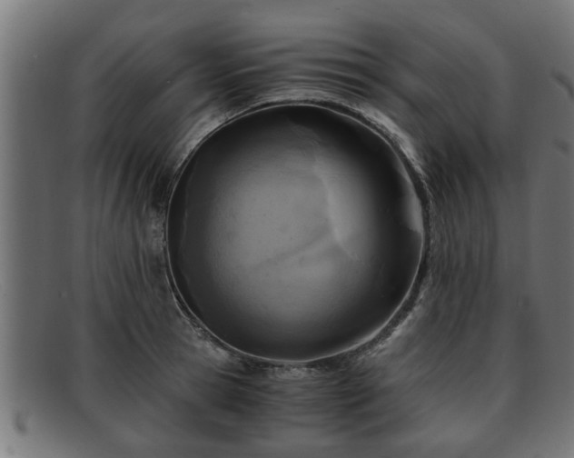 X0000091980945200709131409