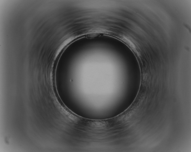 X0000091980947200709131409