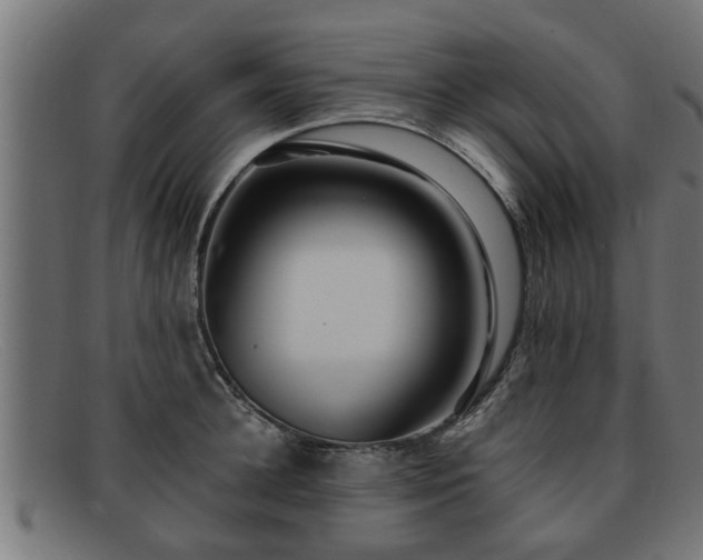 X0000091980948200709131409