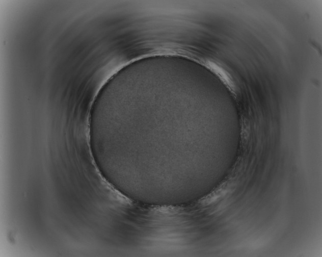 X0000091980950200709131409