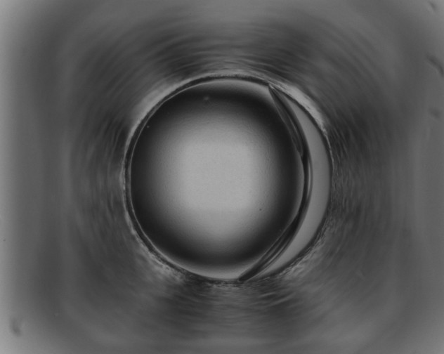 X0000091980951200709131409