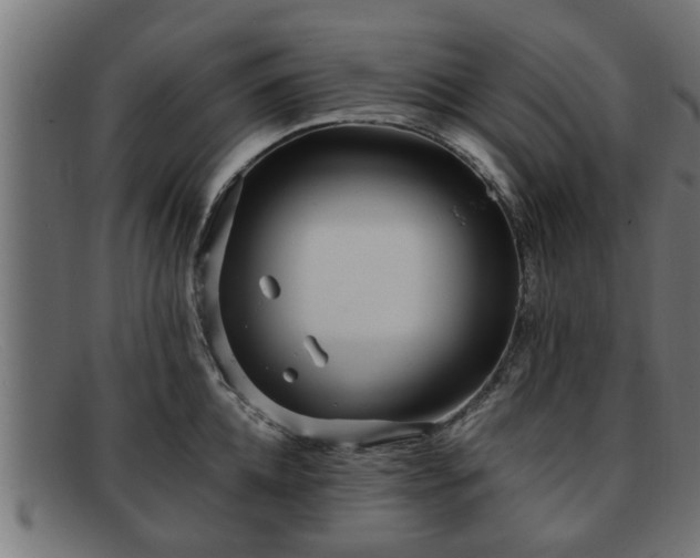 X0000091980952200709131409