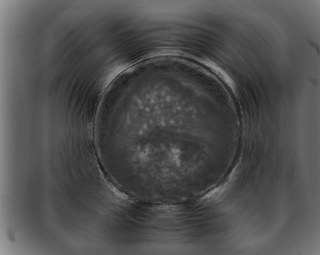 X0000091980953200709131409