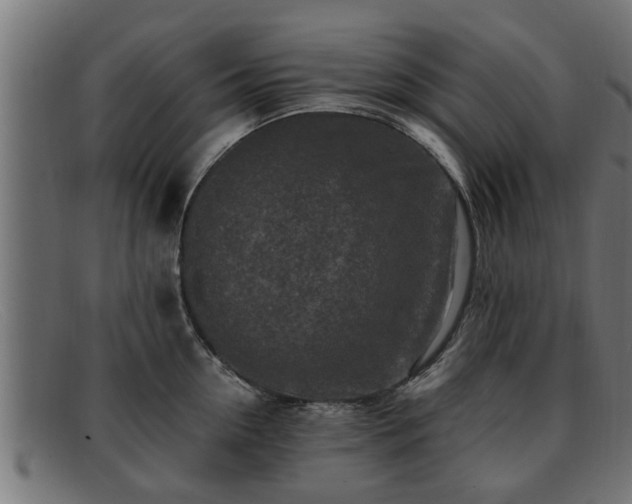 X0000091980954200709131409