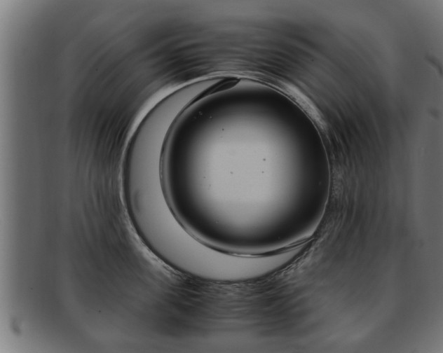 X0000091980955200709131409