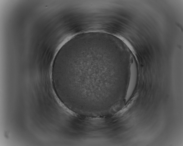 X0000091980957200709131409