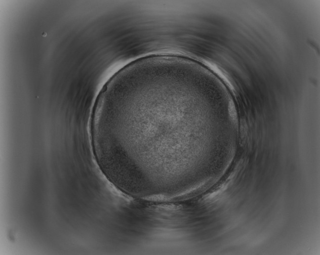 X0000091980959200709131409